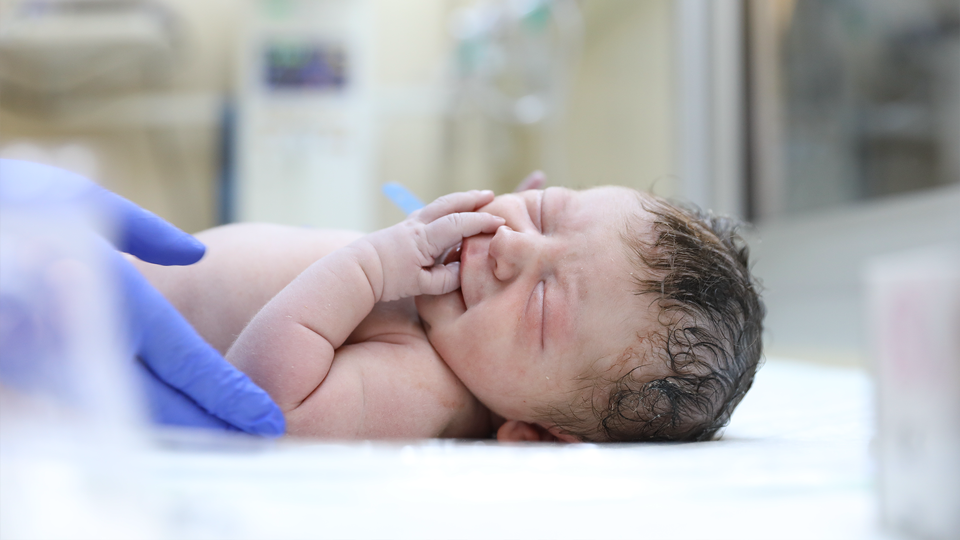 In-Vitro Diagnostics (IVD) & Labs